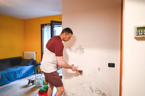 Best Toxic Mold Removal  in Port Salerno, FL